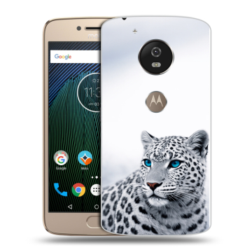 Силиконовый чехол на Motorola Moto G5s с принтом женский