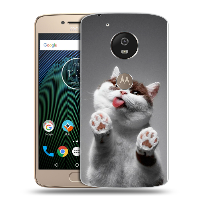 Пластиковый чехол на Motorola Moto G5s с принтом Коты Пластиковый чехол на Motorola Moto G5s с принтом Коты