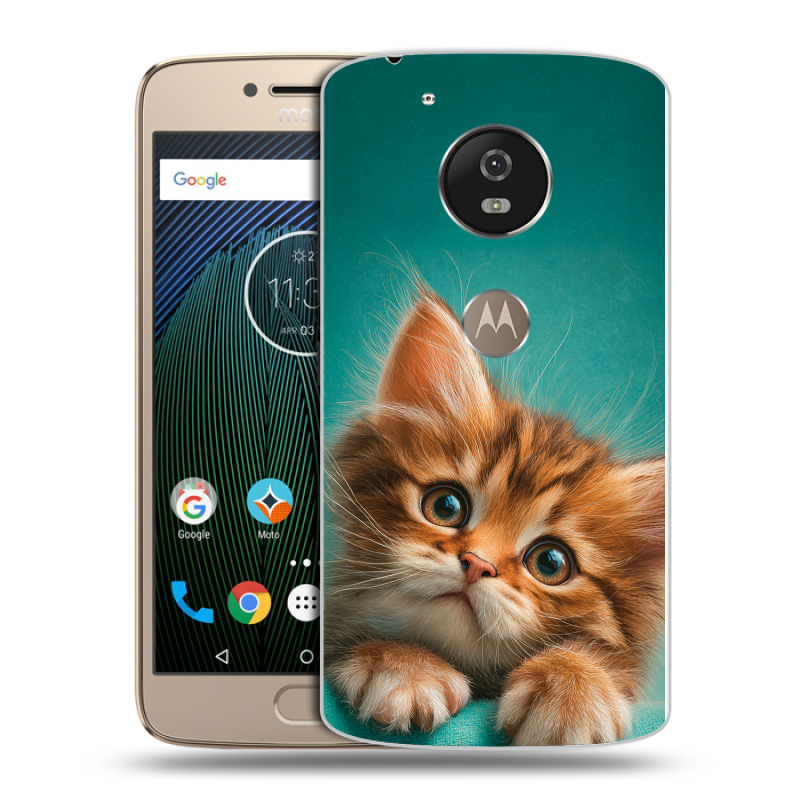 Силиконовый чехол на Motorola Moto G5s с принтом котенок Силиконовый чехол на Motorola Moto G5s с принтом котенок