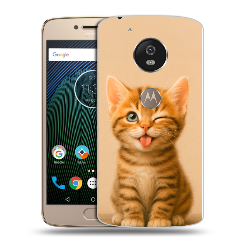 Силиконовый чехол на Motorola Moto G5s с принтом котенок Силиконовый чехол на Motorola Moto G5s с принтом котенок