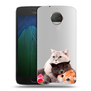 Пластиковый чехол на Motorola Moto G5s Plus с принтом Кошки