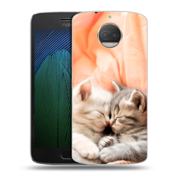 Пластиковый чехол на Motorola Moto G5s Plus с принтом Котята