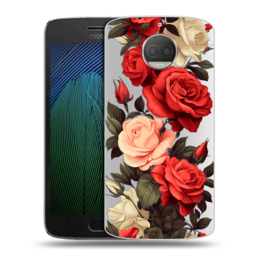 Пластиковый чехол на Motorola Moto G5s Plus с принтом Розы