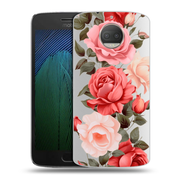 Пластиковый чехол на Motorola Moto G5s Plus с принтом Розы