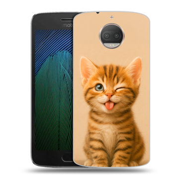 Пластиковый чехол на Motorola Moto G5s Plus с принтом котенок