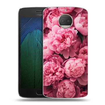 Пластиковый чехол на Motorola Moto G5s Plus с принтом цветы пионы
