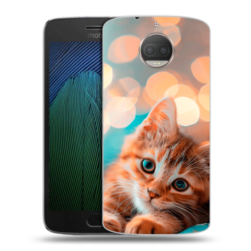Пластиковый чехол на Motorola Moto G5s Plus с принтом котик