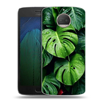Пластиковый чехол на Motorola Moto G5s Plus с принтом Листья