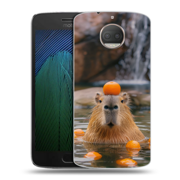 Пластиковый чехол на Motorola Moto G5s Plus с принтом Капибара с апельсином