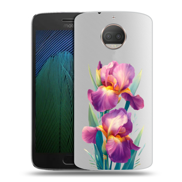 Пластиковый чехол на Motorola Moto G5s Plus с принтом Цветы орхидеи