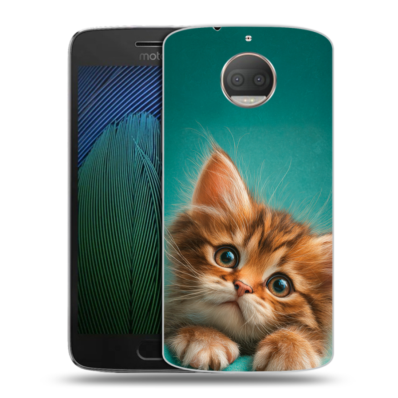 Пластиковый чехол на Motorola Moto G5s Plus с принтом котенок Пластиковый чехол на Motorola Moto G5s Plus с принтом котенок