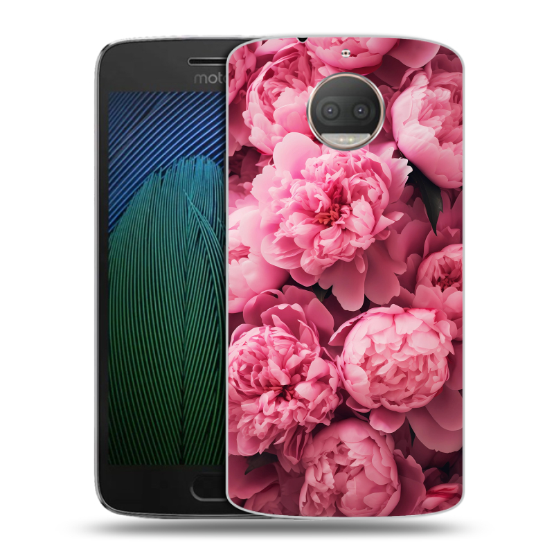Пластиковый чехол на Motorola Moto G5s Plus с принтом цветы пионы Пластиковый чехол на Motorola Moto G5s Plus с принтом цветы пионы