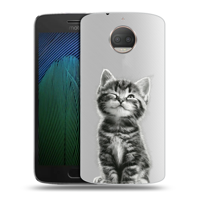 Пластиковый чехол на Motorola Moto G5s Plus с принтом Котенок Пластиковый чехол на Motorola Moto G5s Plus с принтом Котенок