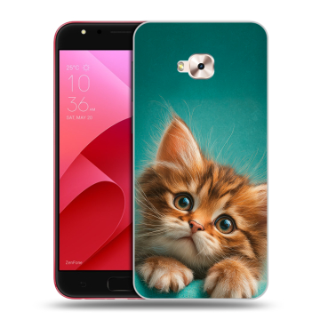 Пластиковый чехол на ASUS ZenFone 4 Selfie Pro с принтом котенок Пластиковый чехол на ASUS ZenFone 4 Selfie Pro с принтом котенок