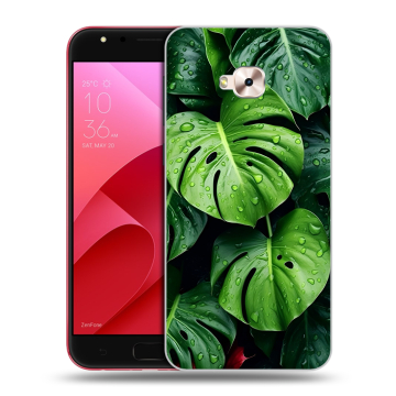 Пластиковый чехол на ASUS ZenFone 4 Selfie Pro с принтом Листья