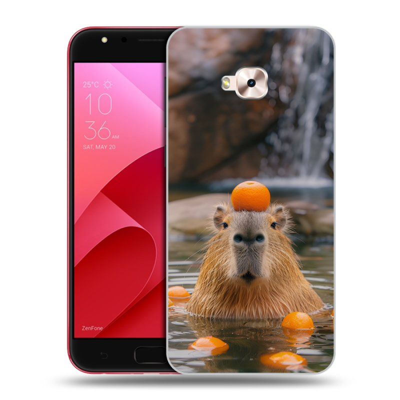 Пластиковый чехол на ASUS ZenFone 4 Selfie Pro с принтом Капибара с апельсином Пластиковый чехол на ASUS ZenFone 4 Selfie Pro с принтом Капибара с апельсином