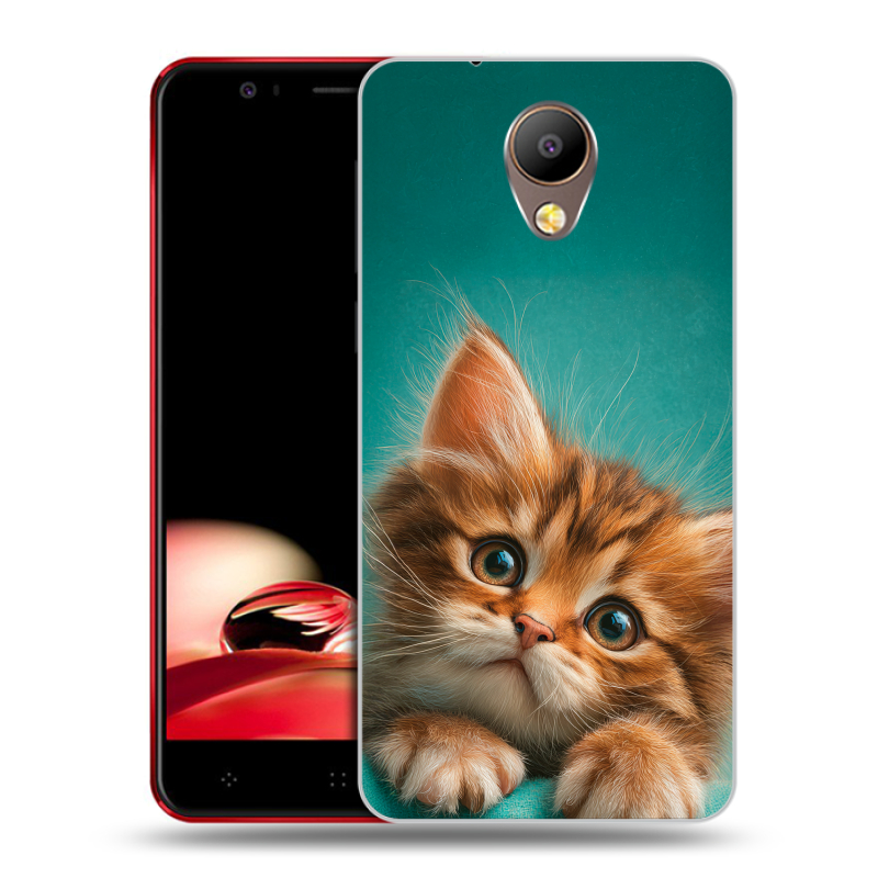 Пластиковый чехол на Elephone P8 с принтом котенок Пластиковый чехол на Elephone P8 с принтом котенок
