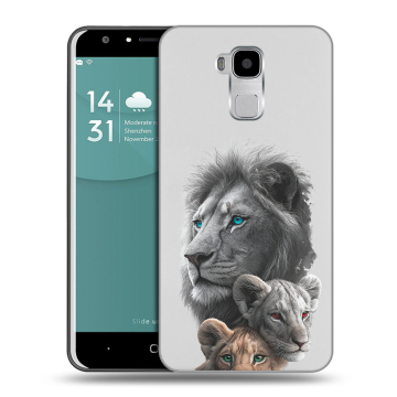 Пластиковый чехол на Doogee Y6 с принтом Львы