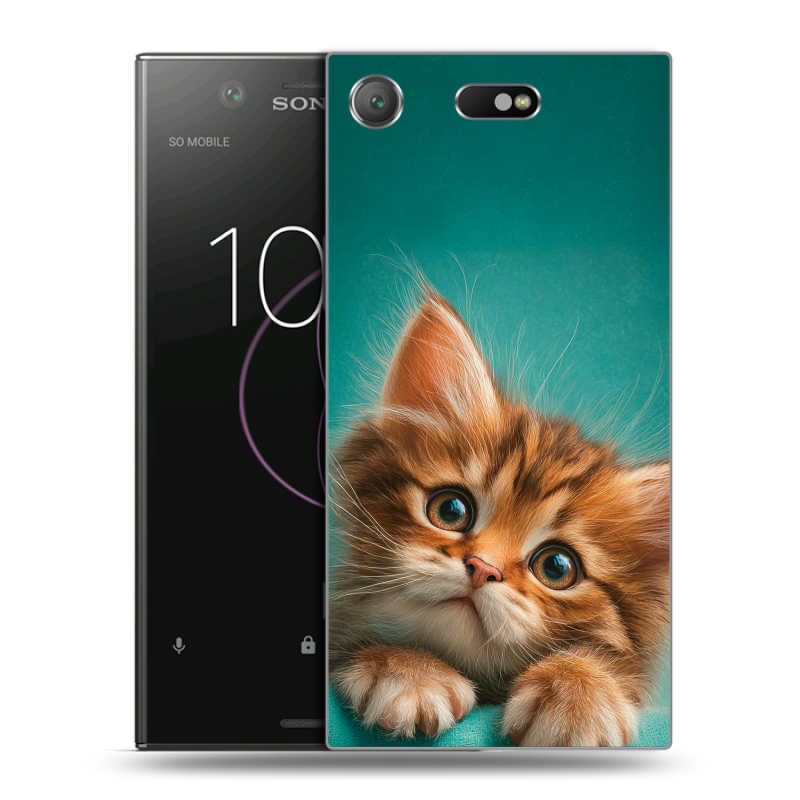 Пластиковый чехол на Sony Xperia XZ1 Compact с принтом котенок Пластиковый чехол на Sony Xperia XZ1 Compact с принтом котенок