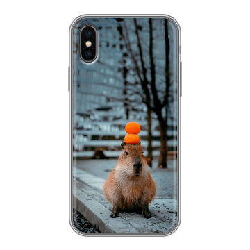 Силиконовый чехол на Iphone X с принтом капибара Силиконовый чехол на Iphone X с принтом капибара