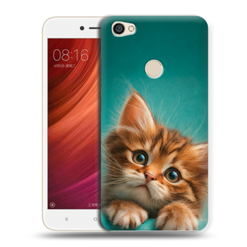 Силиконовый чехол на Xiaomi RedMi Note 5A Pro с принтом котенок Силиконовый чехол на Xiaomi RedMi Note 5A Pro с принтом котенок