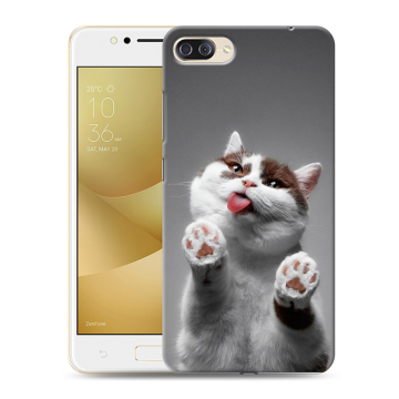 Пластиковый чехол на ASUS ZenFone 4 Max ZC520KL с принтом Коты