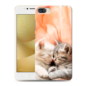 Пластиковый чехол на ASUS ZenFone 4 Max ZC520KL с принтом Котята