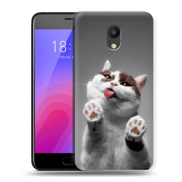 Пластиковый чехол на Meizu M6 с принтом Коты