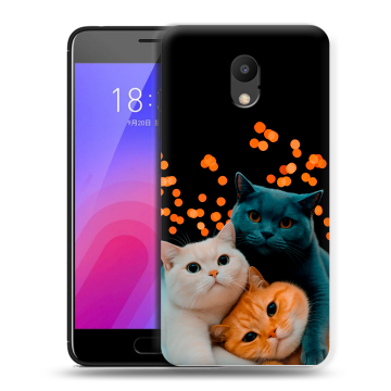 Пластиковый чехол на Meizu M6 с принтом Кошки
