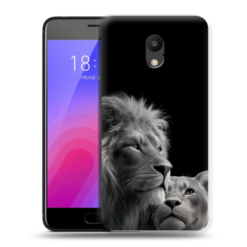 Пластиковый чехол на Meizu M6 с принтом Лев кошки