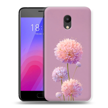 Пластиковый чехол на Meizu M6 с принтом Цветы