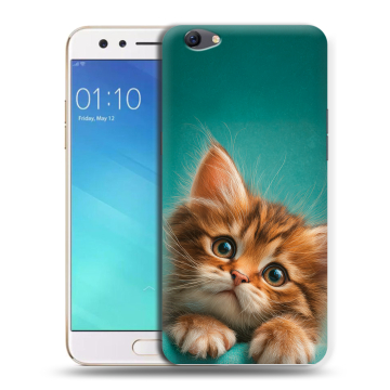 Силиконовый чехол на OPPO F3 с принтом котенок Силиконовый чехол на OPPO F3 с принтом котенок