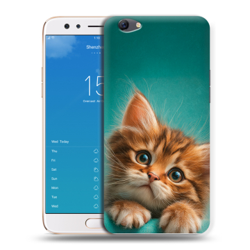 Силиконовый чехол на OPPO F3 Plus с принтом котенок