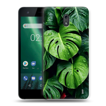 Силиконовый чехол на Nokia 2 с принтом Листья