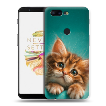 Силиконовый чехол на OnePlus 5T с принтом котенок