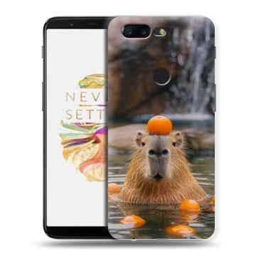 Силиконовый чехол на OnePlus 5T с принтом Капибара с апельсином