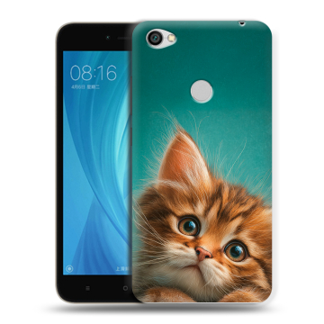 Силиконовый чехол на Xiaomi RedMi Note 5A Prime с принтом котенок Силиконовый чехол на Xiaomi RedMi Note 5A Prime с принтом котенок