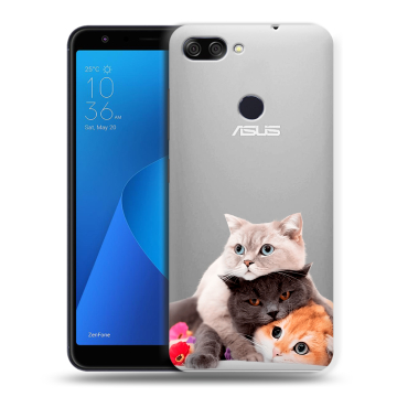 Пластиковый чехол на ASUS ZenFone Max Plus M1 с принтом Кошки Пластиковый чехол на ASUS ZenFone Max Plus M1 с принтом Кошки