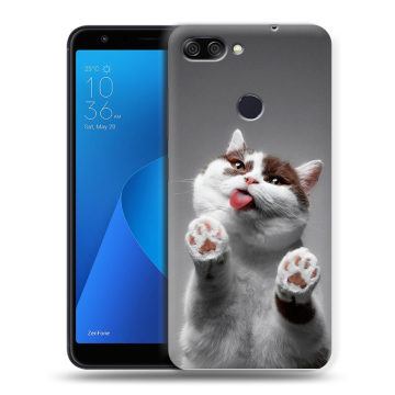 Пластиковый чехол на ASUS ZenFone Max Plus M1 с принтом Коты Пластиковый чехол на ASUS ZenFone Max Plus M1 с принтом Коты