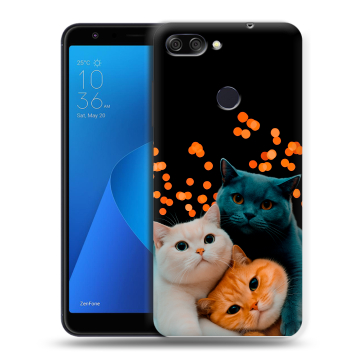 Пластиковый чехол на ASUS ZenFone Max Plus M1 с принтом Кошки Пластиковый чехол на ASUS ZenFone Max Plus M1 с принтом Кошки