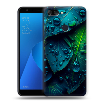 Пластиковый чехол на ASUS ZenFone Max Plus M1 с принтом Листья Пластиковый чехол на ASUS ZenFone Max Plus M1 с принтом Листья