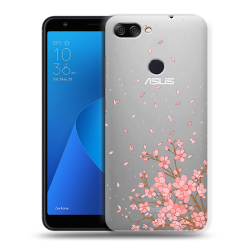 Пластиковый чехол на ASUS ZenFone Max Plus M1 с принтом Ветка сакуры