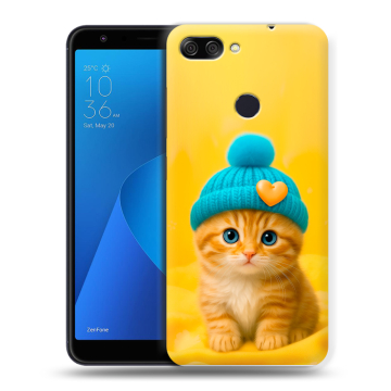 Пластиковый чехол на ASUS ZenFone Max Plus M1 с принтом Котенок в шапке Пластиковый чехол на ASUS ZenFone Max Plus M1 с принтом Котенок в шапке