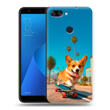 Пластиковый чехол на ASUS ZenFone Max Plus M1 с принтом Корги на скейте Пластиковый чехол на ASUS ZenFone Max Plus M1 с принтом Корги на скейте
