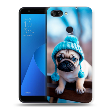 Пластиковый чехол на ASUS ZenFone Max Plus M1 с принтом Мопс в шапке
