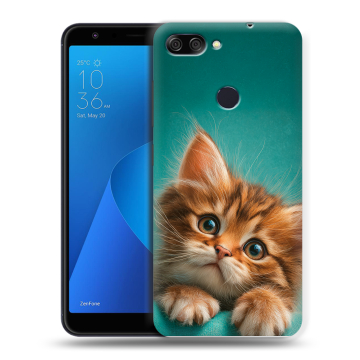 Пластиковый чехол на ASUS ZenFone Max Plus M1 с принтом котенок Пластиковый чехол на ASUS ZenFone Max Plus M1 с принтом котенок