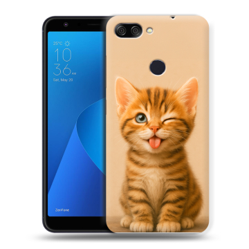 Пластиковый чехол на ASUS ZenFone Max Plus M1 с принтом котенок