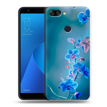 Пластиковый чехол на ASUS ZenFone Max Plus M1 с принтом Голубые цветы Пластиковый чехол на ASUS ZenFone Max Plus M1 с принтом Голубые цветы