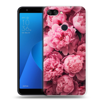 Пластиковый чехол на ASUS ZenFone Max Plus M1 с принтом цветы пионы