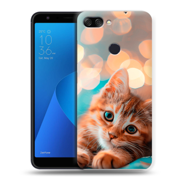 Пластиковый чехол на ASUS ZenFone Max Plus M1 с принтом котик